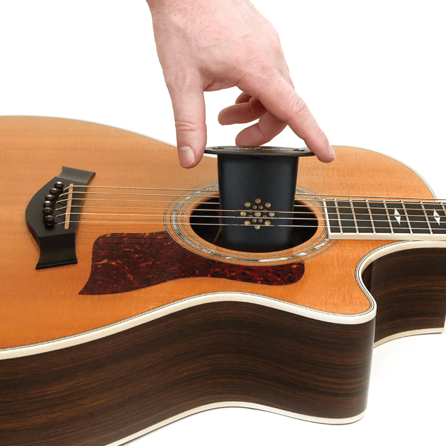 D'Addario Acoustic Guitar Humidifiers - GH