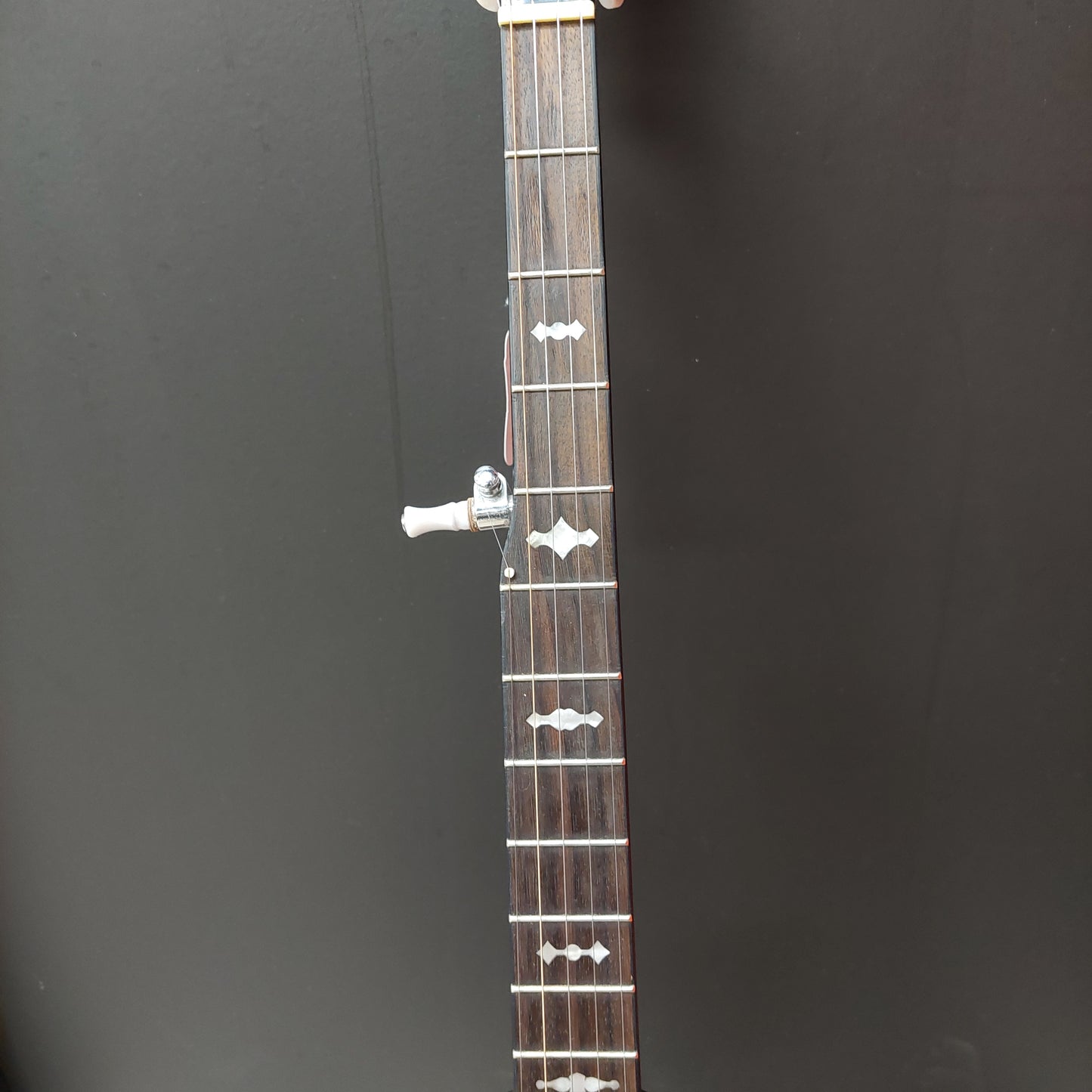 Mitchell 5-String Banjo (USED)