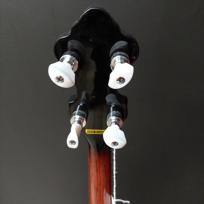Mitchell 5-String Banjo (USED)
