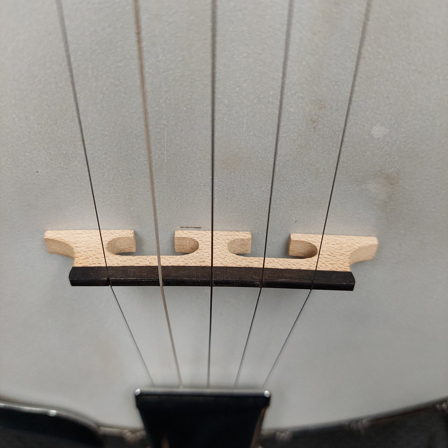 Fender FB-54 5-String Banjo "Made In Korea" SN# KD04040033