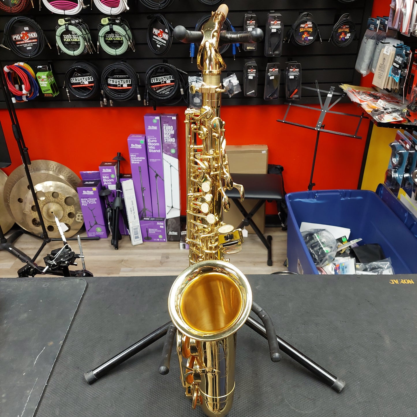 Alto Saxophone w/ Soft Case (USED)