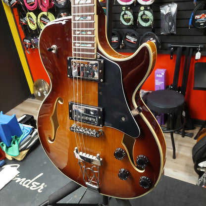 2010's IYV Hollow Body Electric Guitar - Sunburst (USED) SN# 121044240