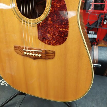 1990's Fender San Luis Rey Dreadnought Acoustic Guitar - Natural "Made in Korea" SN# 6503085