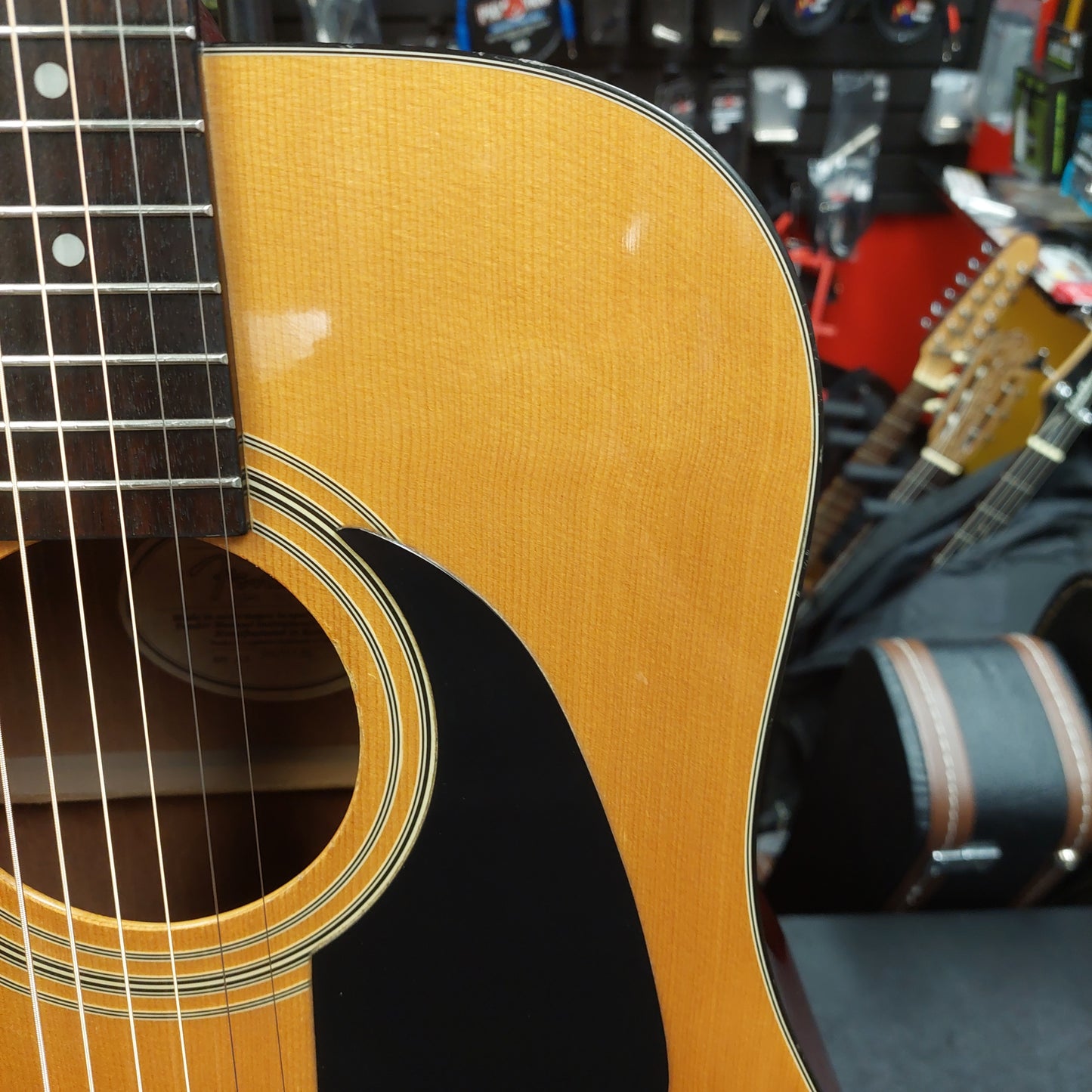 1998 Fender DG-8 NAT Acoustic Guitar - Natural "Made In Korea" SN# 98051120