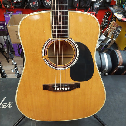 Esteban AG100 Acoustic/Electric Dreadnought Guitar - Natural Finish (USED)