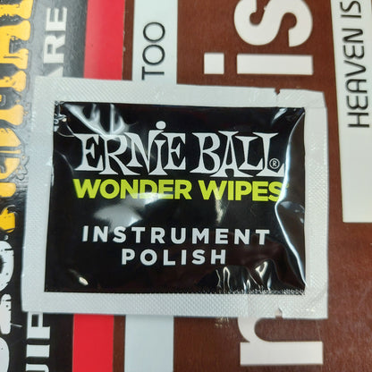 ERNIE BALL WONDER WIPES INSTRUMENT POLISH - SINGLE