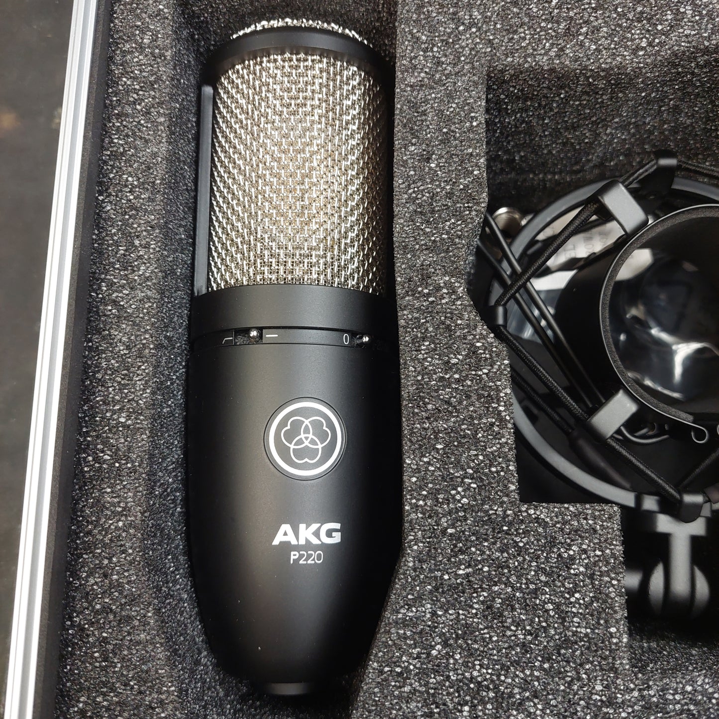 AKG P220 Project Studio Condenser Microphone w/ Shock Mount & AKG Hard Case (USED)