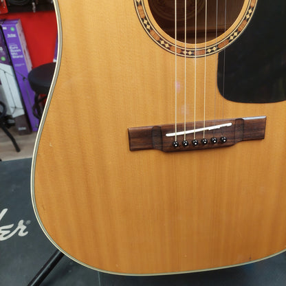 2004 Washburn D9C Acoustic Guitar - Natural SN# FC040701302