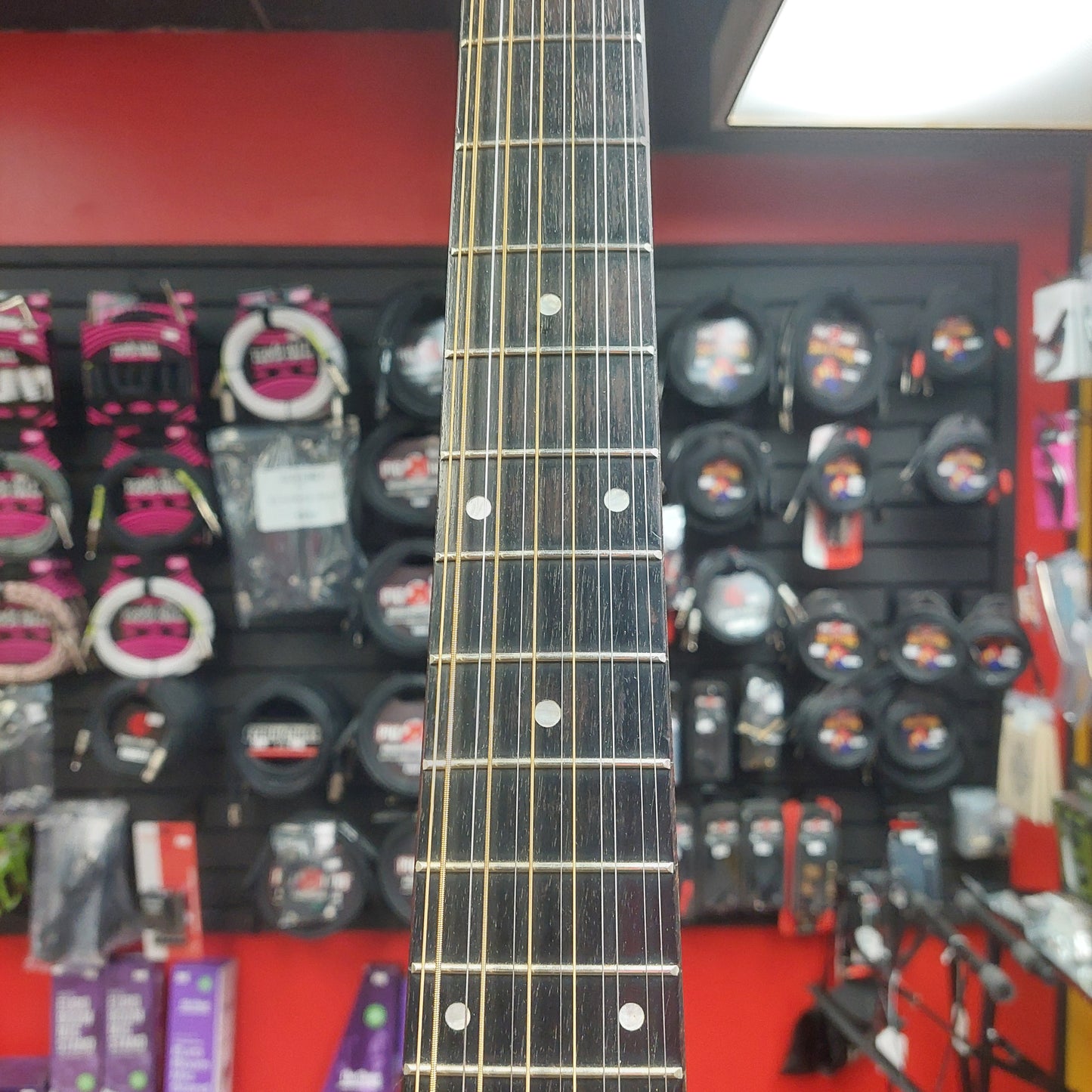 2006 Arbor D10TS12 12-String Acoustic Guitar - Sunburst SN# 060102 "Made In Korea"