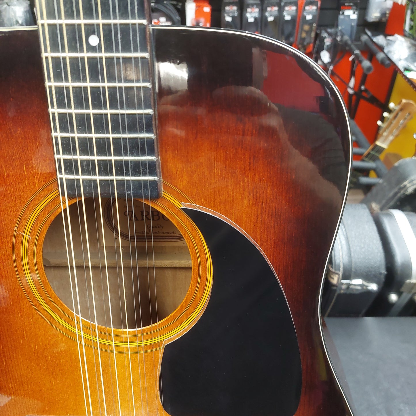 2006 Arbor D10TS12 12-String Acoustic Guitar - Sunburst SN# 060102 "Made In Korea"