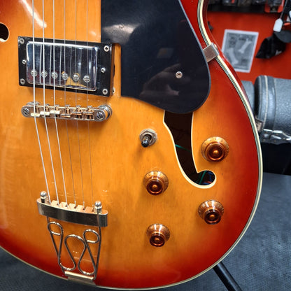 Glen Burton Hollow Body Electric Guitar - Cherry Sunburst (USED)