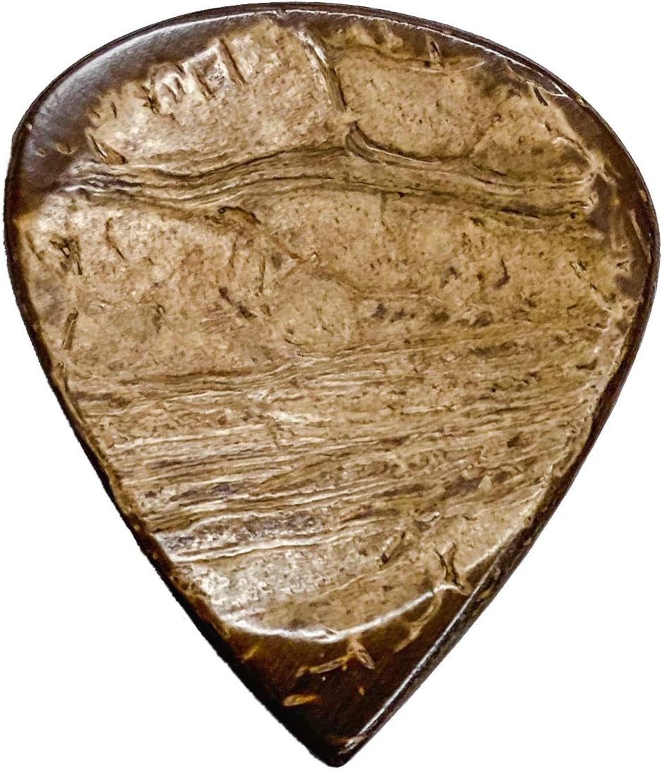 Clayton Exotic Coconut Shell Guitar Picks 3-Pack - CHS/3
