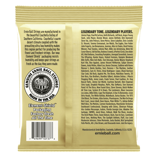 ERNIE BALL P02013 CUSTOM LIGHT EARTHWOOD 80/20 BRONZE 12-STRING ACOUSTIC GUITAR STRINGS 10-48 GAUGE