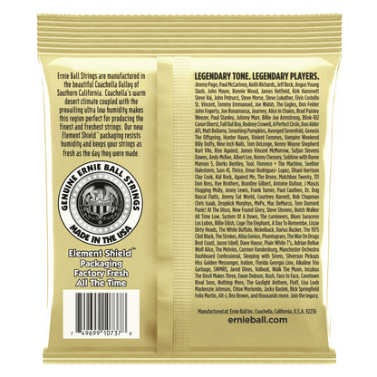 ERNIE BALL P02013 CUSTOM LIGHT EARTHWOOD 80/20 BRONZE 12-STRING ACOUSTIC GUITAR STRINGS 10-48 GAUGE