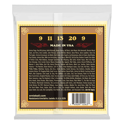 Erine Ball P02063 Earthwood 80/20 Bronze Loop End 5-String Bluegrass Banjo Strings (9-20) Gauge