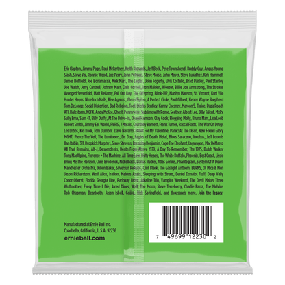 ERNIE BALL P02230 SLINKY NICKEL WOUND 12-STRING ELECTRIC GUITAR STRINGS (8-40) GAUGE