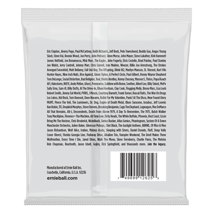Ernie Ball P02625 Slinky Nickel Wound 8-String Electric Guitar Strings (10-74) Gauge