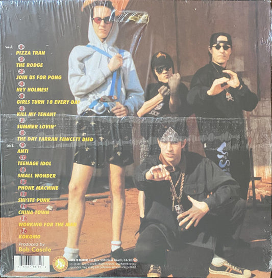 The Vandals – Fear Of A Punk Planet LP (USED)