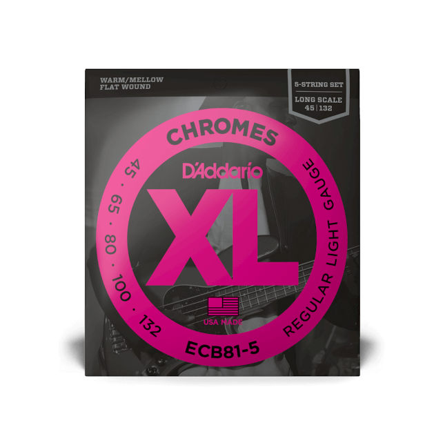 D'Addario 45-132 Regular Light 5-String, Long Scale, XL Chromes Bass Strings - ECB81-5